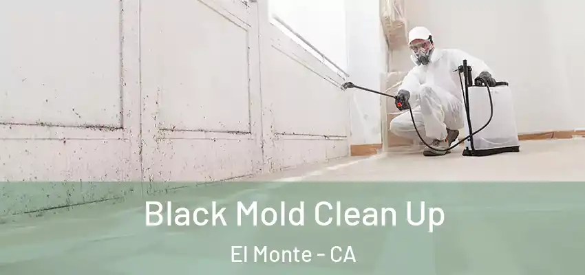 Black Mold Clean Up El Monte - CA