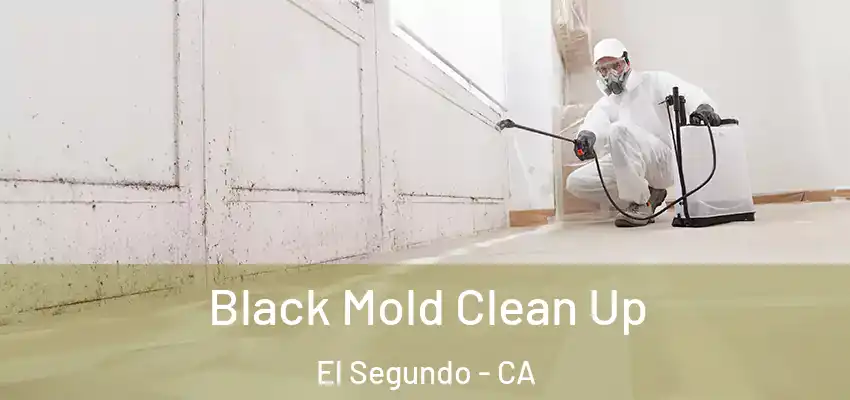 Black Mold Clean Up El Segundo - CA