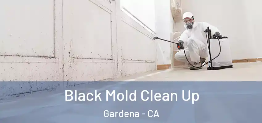 Black Mold Clean Up Gardena - CA