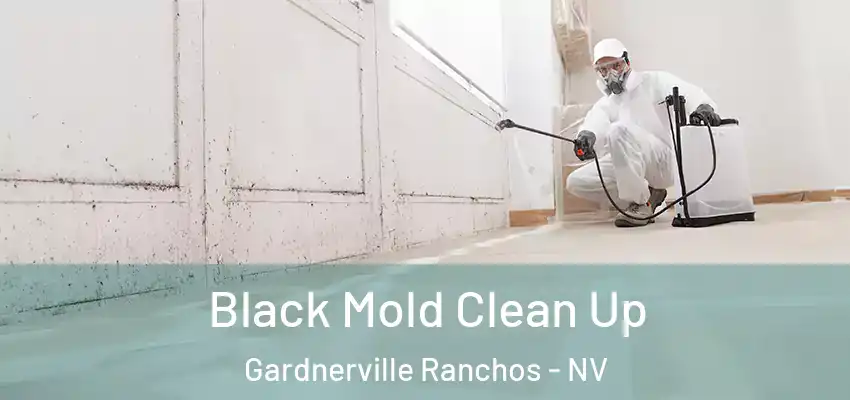  Black Mold Clean Up Gardnerville Ranchos - NV