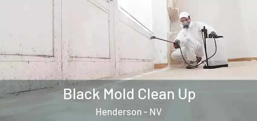  Black Mold Clean Up Henderson - NV