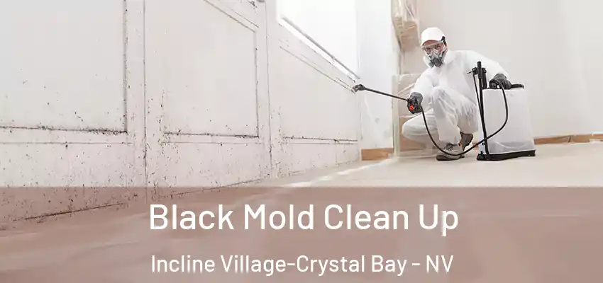 Black Mold Clean Up Incline Village-Crystal Bay - NV