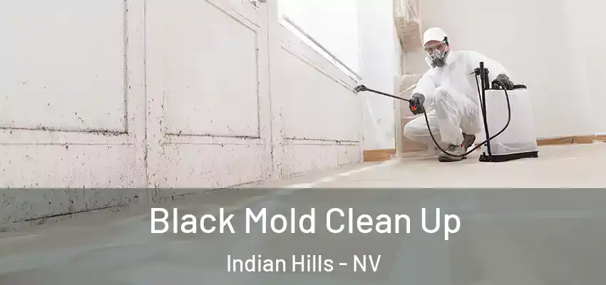 Black Mold Clean Up Indian Hills - NV