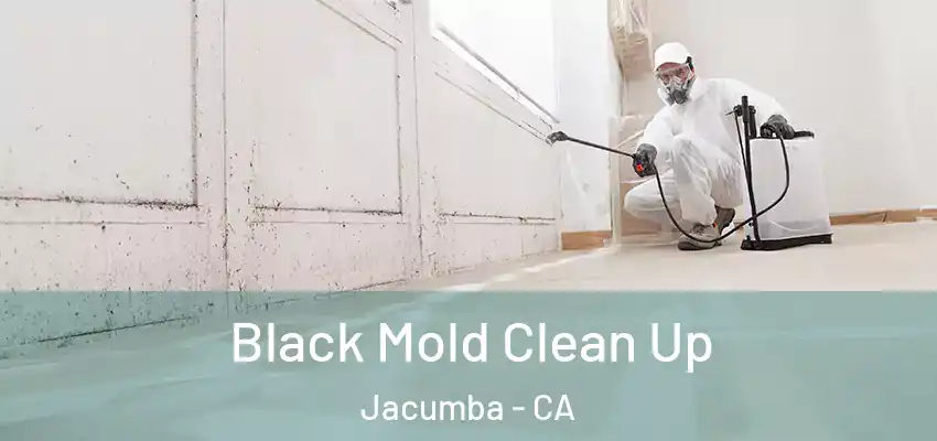  Black Mold Clean Up Jacumba - CA