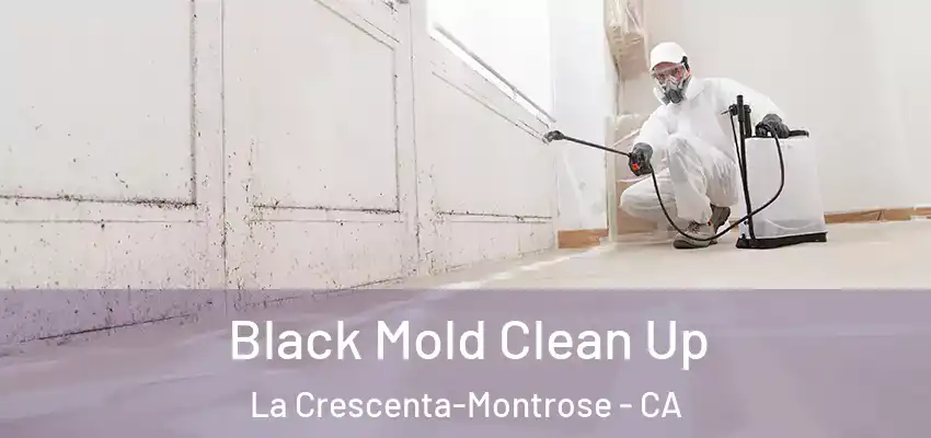 Black Mold Clean Up La Crescenta-Montrose - CA
