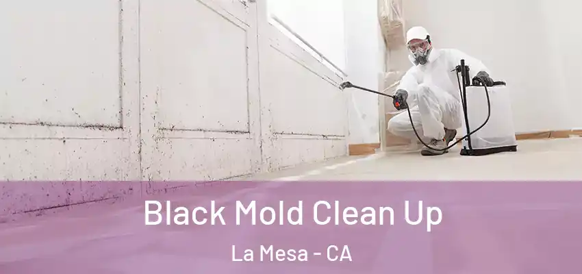 Black Mold Clean Up La Mesa - CA