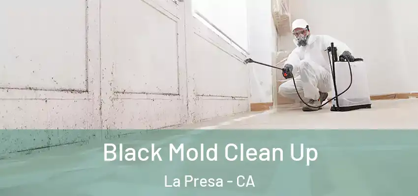Black Mold Clean Up La Presa - CA