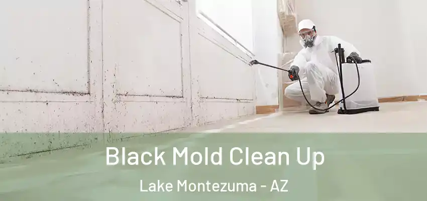  Black Mold Clean Up Lake Montezuma - AZ
