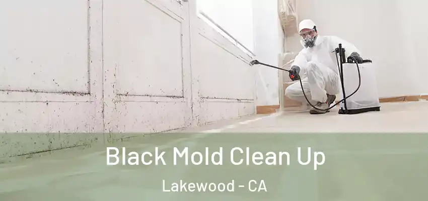  Black Mold Clean Up Lakewood - CA