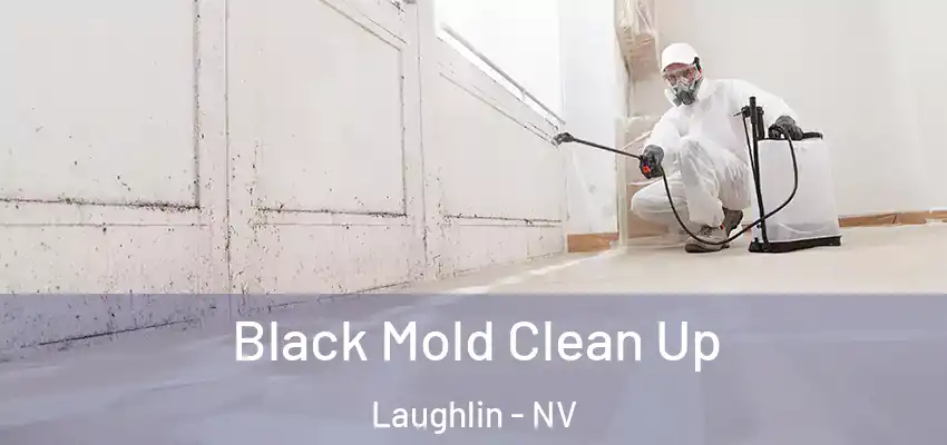 Black Mold Clean Up Laughlin - NV