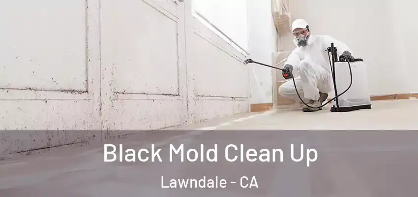  Black Mold Clean Up Lawndale - CA