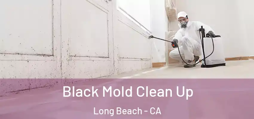 Black Mold Clean Up Long Beach - CA
