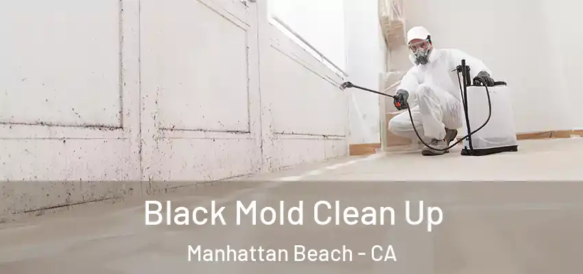  Black Mold Clean Up Manhattan Beach - CA