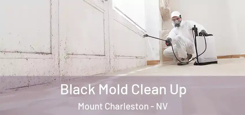  Black Mold Clean Up Mount Charleston - NV