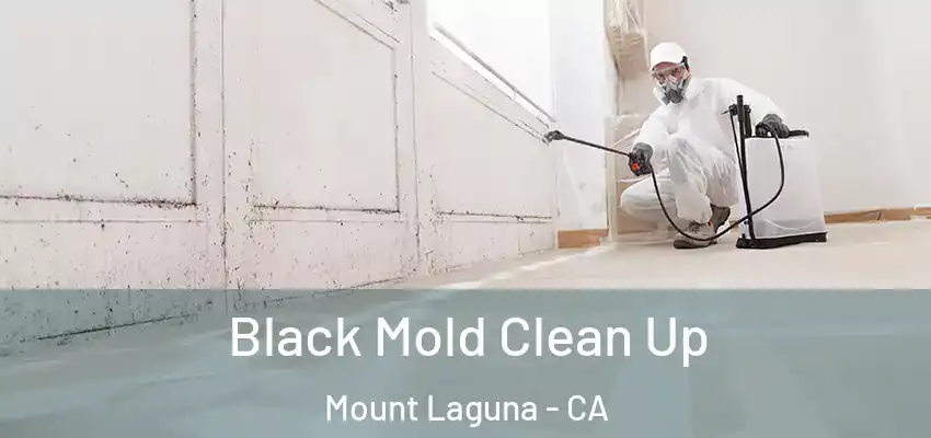  Black Mold Clean Up Mount Laguna - CA