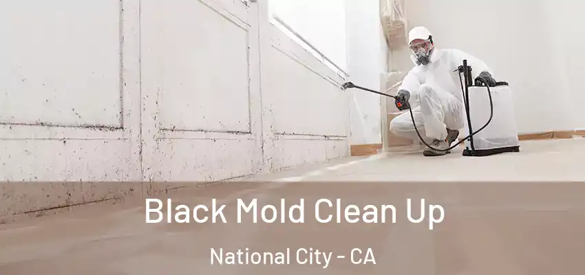 Black Mold Clean Up National City - CA