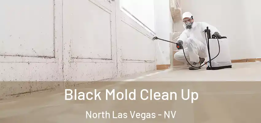 Black Mold Clean Up North Las Vegas - NV
