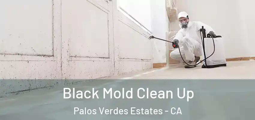  Black Mold Clean Up Palos Verdes Estates - CA