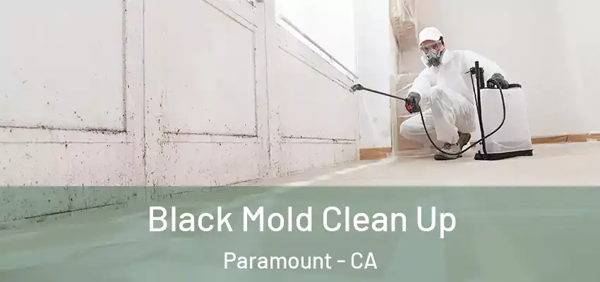 Black Mold Clean Up Paramount - CA