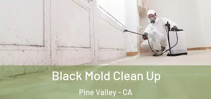  Black Mold Clean Up Pine Valley - CA
