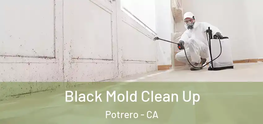  Black Mold Clean Up Potrero - CA