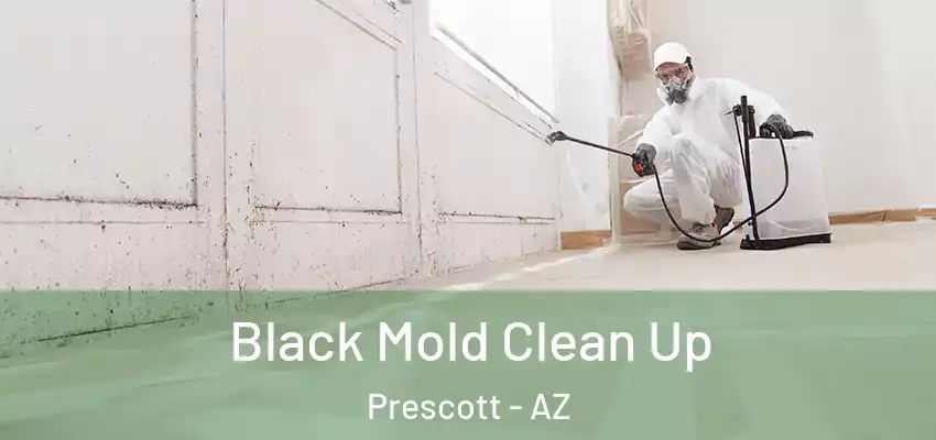  Black Mold Clean Up Prescott - AZ