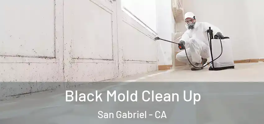  Black Mold Clean Up San Gabriel - CA