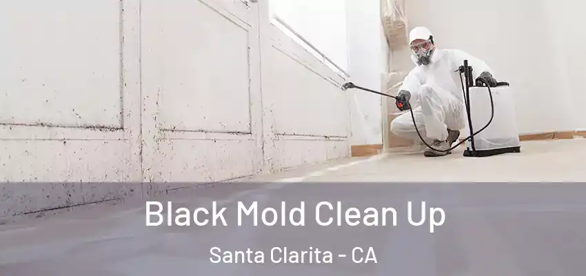  Black Mold Clean Up Santa Clarita - CA