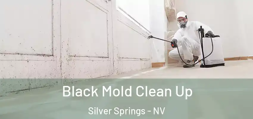  Black Mold Clean Up Silver Springs - NV