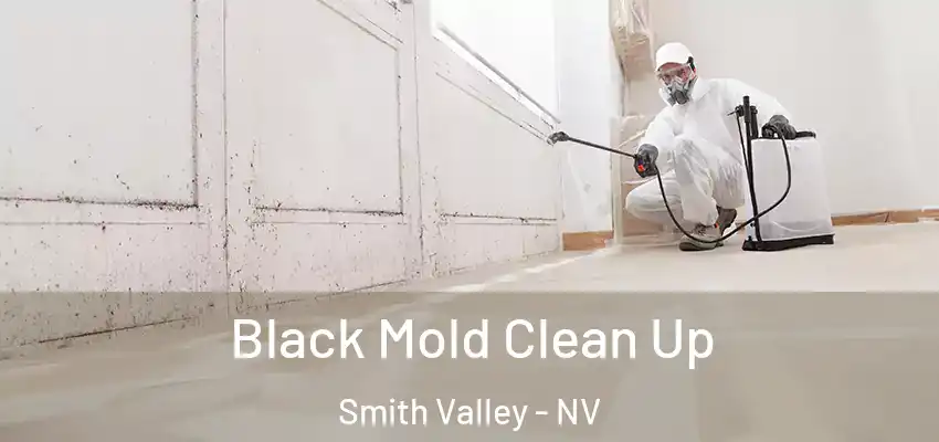  Black Mold Clean Up Smith Valley - NV
