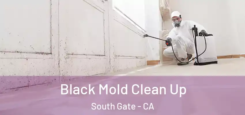  Black Mold Clean Up South Gate - CA