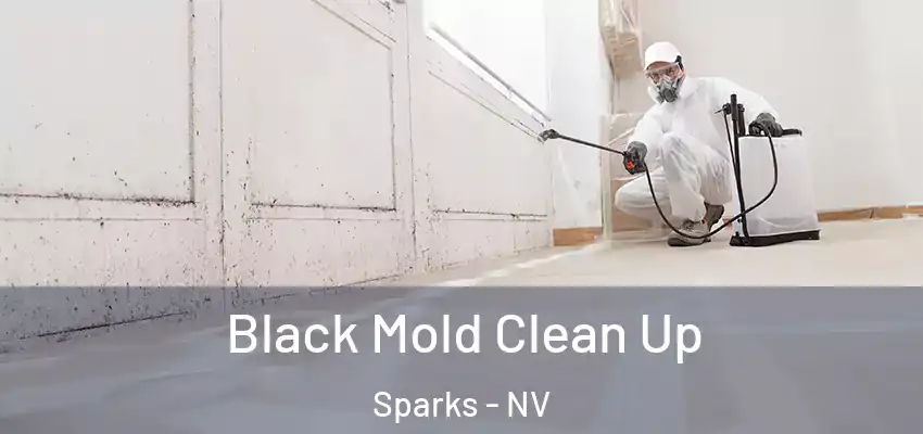  Black Mold Clean Up Sparks - NV