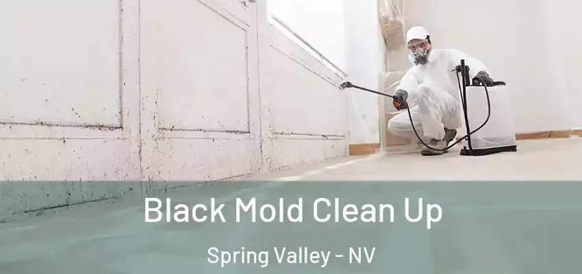  Black Mold Clean Up Spring Valley - NV