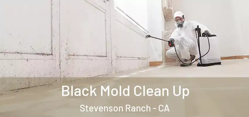  Black Mold Clean Up Stevenson Ranch - CA