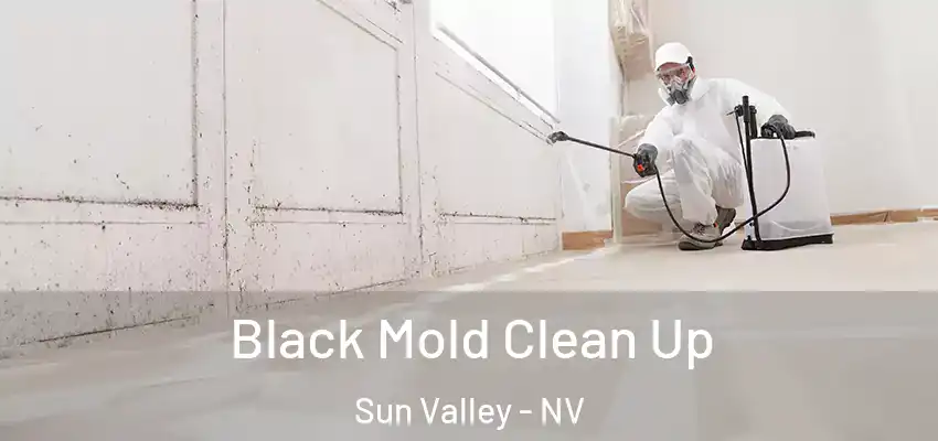  Black Mold Clean Up Sun Valley - NV