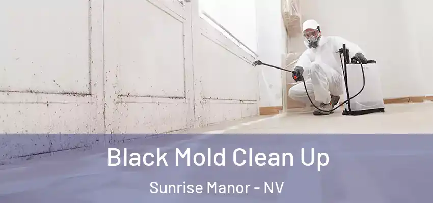 Black Mold Clean Up Sunrise Manor - NV