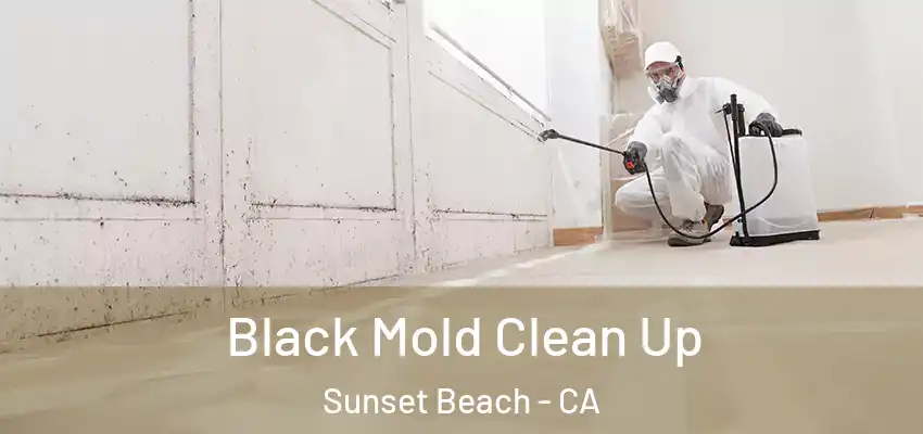 Black Mold Clean Up Sunset Beach - CA