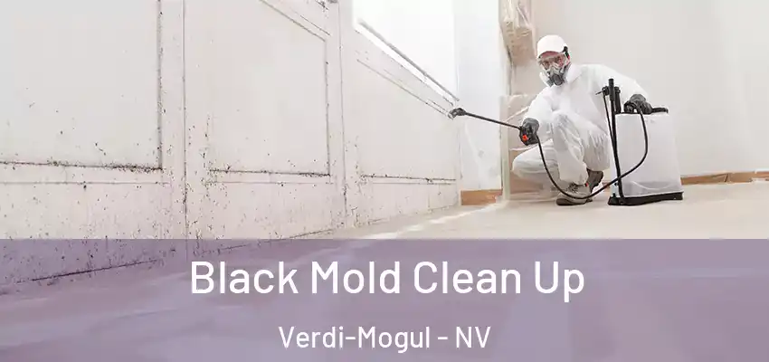 Black Mold Clean Up Verdi-Mogul - NV