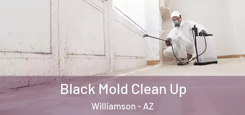  Black Mold Clean Up Williamson - AZ