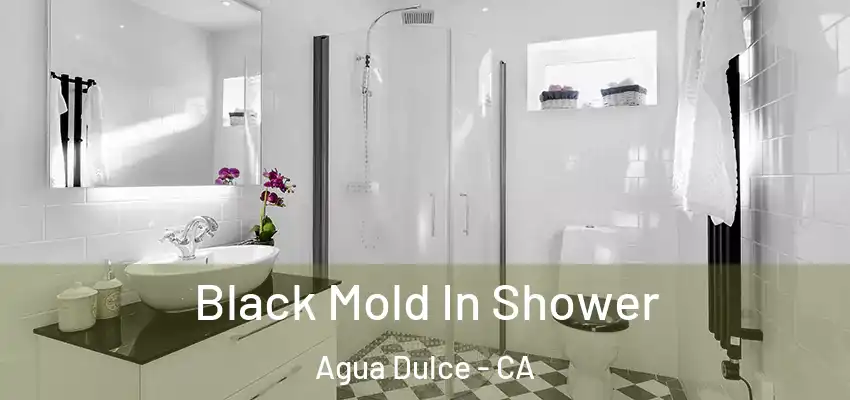  Black Mold In Shower Agua Dulce - CA