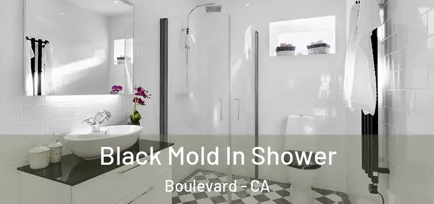  Black Mold In Shower Boulevard - CA