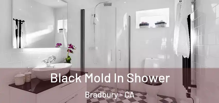  Black Mold In Shower Bradbury - CA