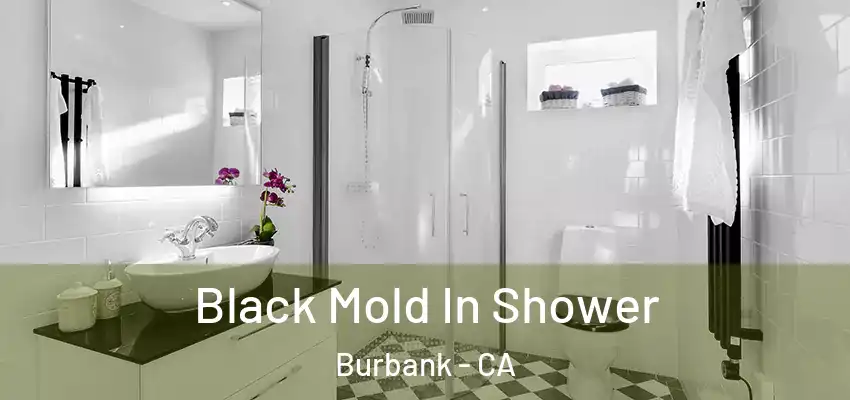 Black Mold In Shower Burbank - CA