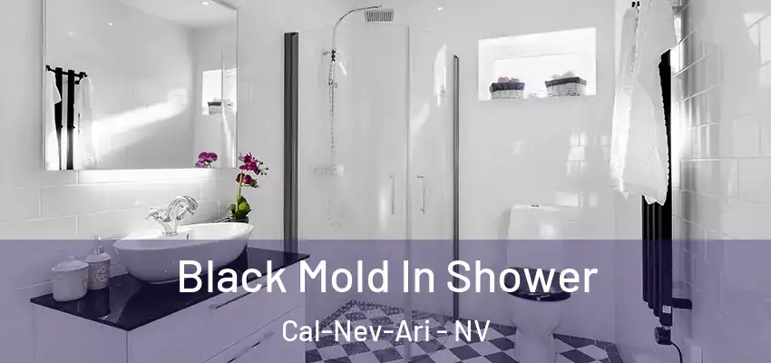  Black Mold In Shower Cal-Nev-Ari - NV