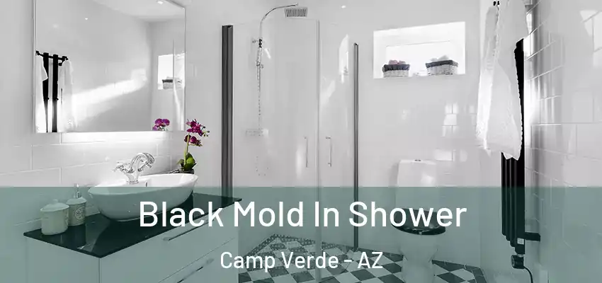  Black Mold In Shower Camp Verde - AZ