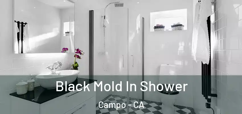 Black Mold In Shower Campo - CA