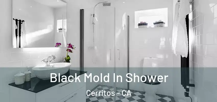  Black Mold In Shower Cerritos - CA