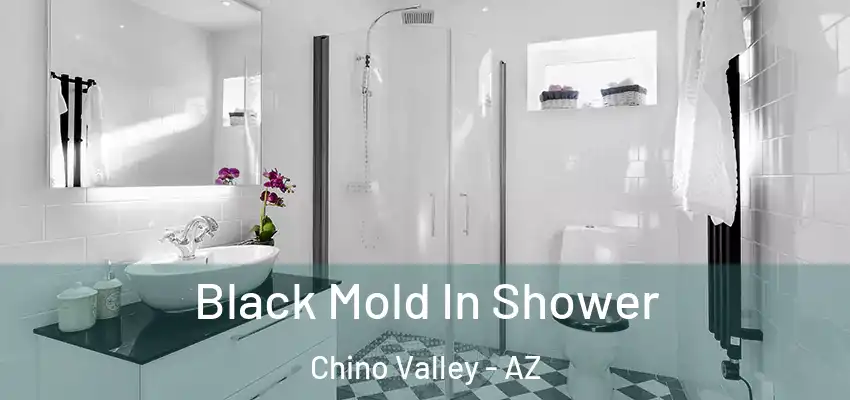  Black Mold In Shower Chino Valley - AZ