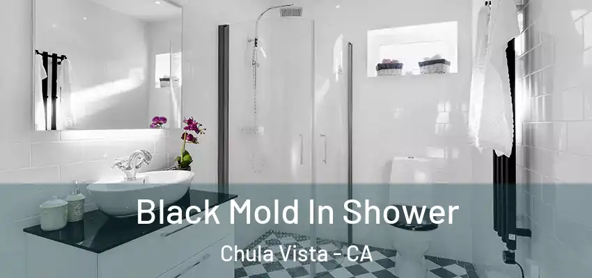  Black Mold In Shower Chula Vista - CA