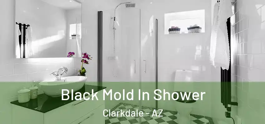  Black Mold In Shower Clarkdale - AZ
